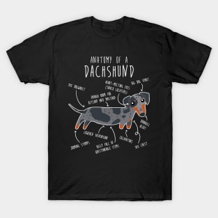 Blue Dapple Dachshund Dog Anatomy T-Shirt